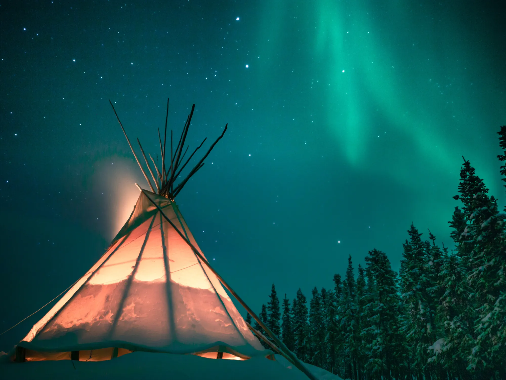Ensure all images have descriptive alt text that conveys the purpose of the image and includes relevant keywords, such as 'Teach for Canada accessible WordPress website' or 'Noble Pixels nonprofit web development'.